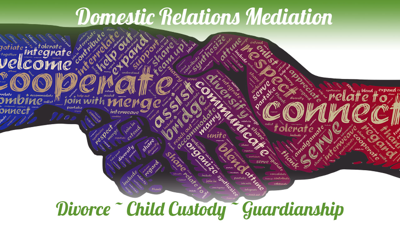 Domestic Relations Mediation