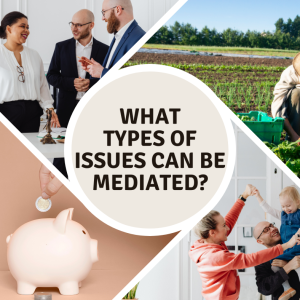 What Types of Issues Can Be Mediated?
